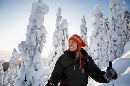 Finland’s Q4 2025 business snapshot: Energy transition and tech innovation leap ahead